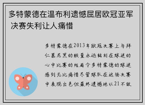 多特蒙德在温布利遗憾屈居欧冠亚军 决赛失利让人痛惜 多特蒙德在温布利遗憾屈居欧冠亚军 决赛失利让人痛惜